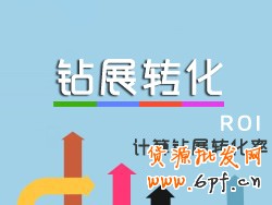 鉆展轉化率,鉆展ROI,鉆石展位