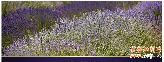 17.【亮鉆計劃】拒絕理由解析&mdash;&mdash;涉及線下數據的解決方案