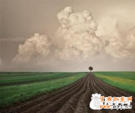 這個時代電商運營已經忘記了初心！