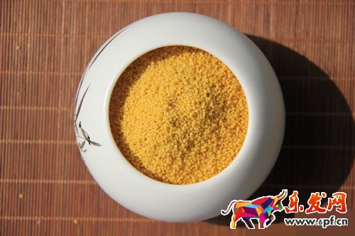 小賣家如何用手機拍出好的產品圖