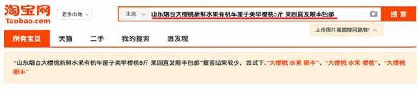 網(wǎng)店標(biāo)題寫(xiě)作技巧2