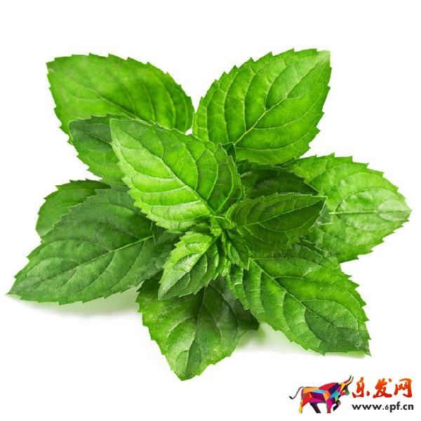 ps海報設計 淘寶海報