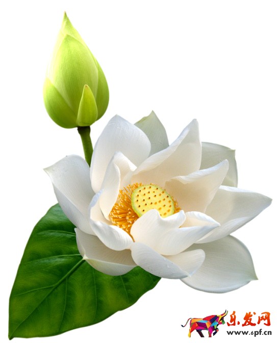 ps海報設計 淘寶海報