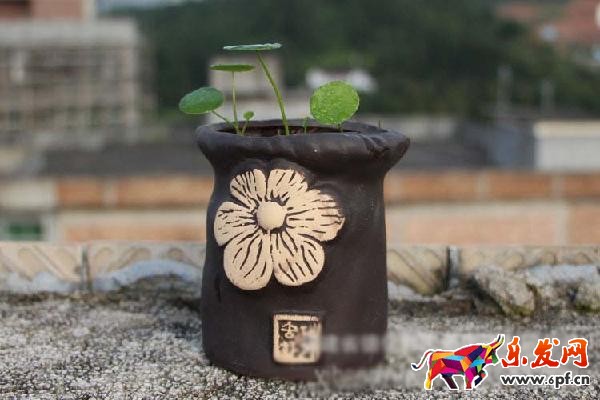 如何作一個圖文并茂，引人入勝的詳情頁?