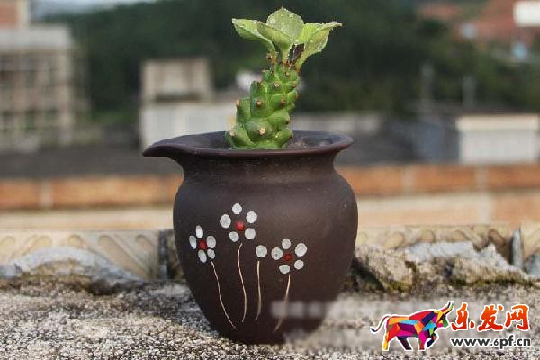 如何作一個圖文并茂，引人入勝的詳情頁?