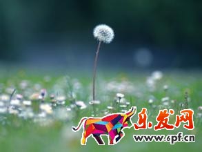 淘寶經(jīng)驗(yàn)