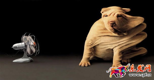 如何開好淘寶網店？運營秘籍