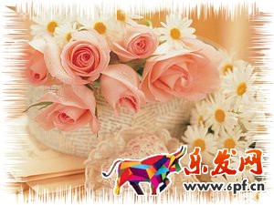 淘寶圖片如何美化