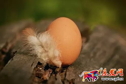 拼多多開店怎么樣