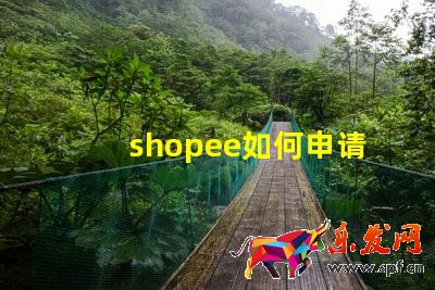 shopee如何申請菲律賓本土店鋪?shopee菲律賓開店教程