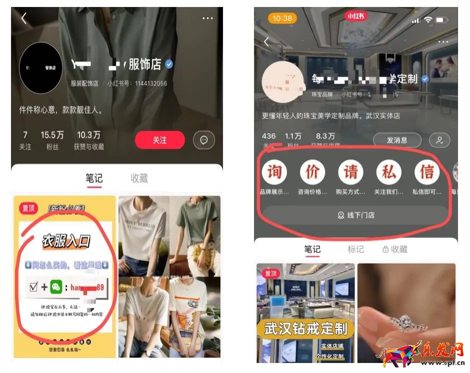 小紅書蒲公英平臺入口