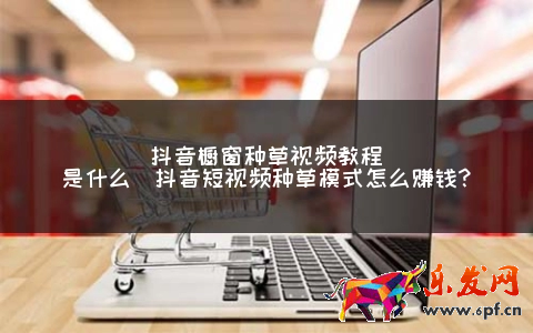 抖音櫥窗種草視頻教程是什么