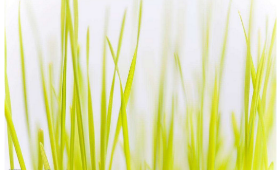 淘寶美工色彩搭配之用色禁區(qū)